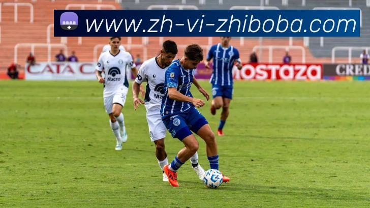 App Interface Preview